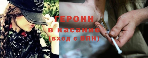 индика Медвежьегорск