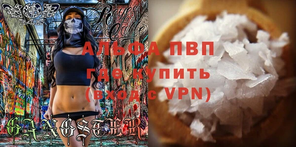 индика Медвежьегорск