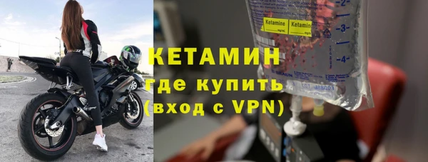 индика Медвежьегорск