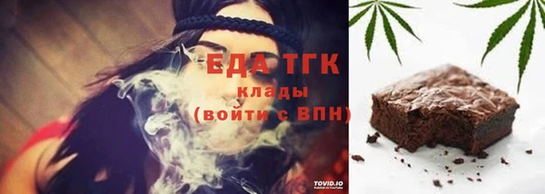 индика Медвежьегорск