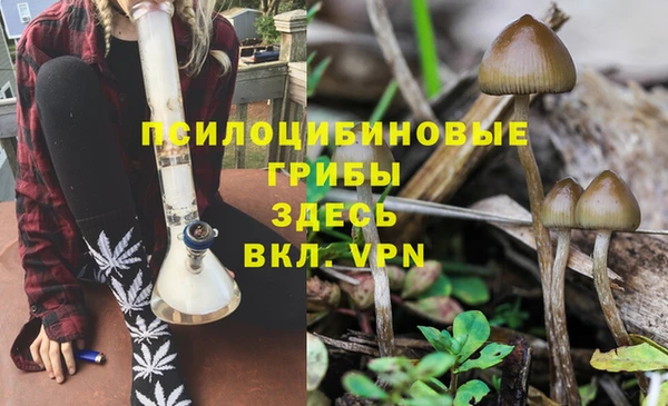 мяу мяу кристалл Медногорск