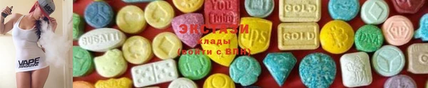 индика Медвежьегорск