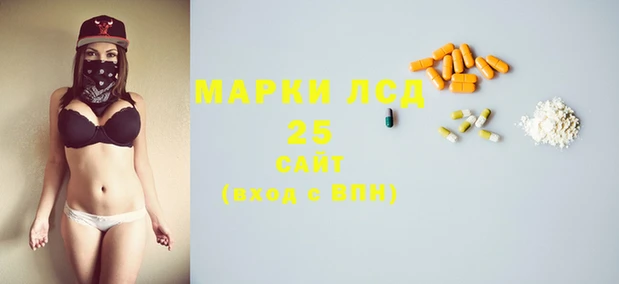 индика Медвежьегорск
