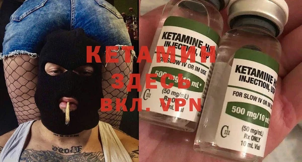 индика Медвежьегорск