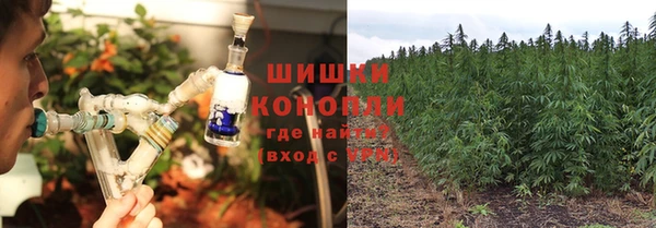 прущая мука Семёнов