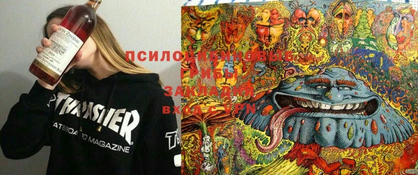 мяу мяу кристалл Медногорск