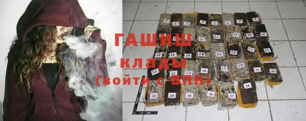 индика Медвежьегорск