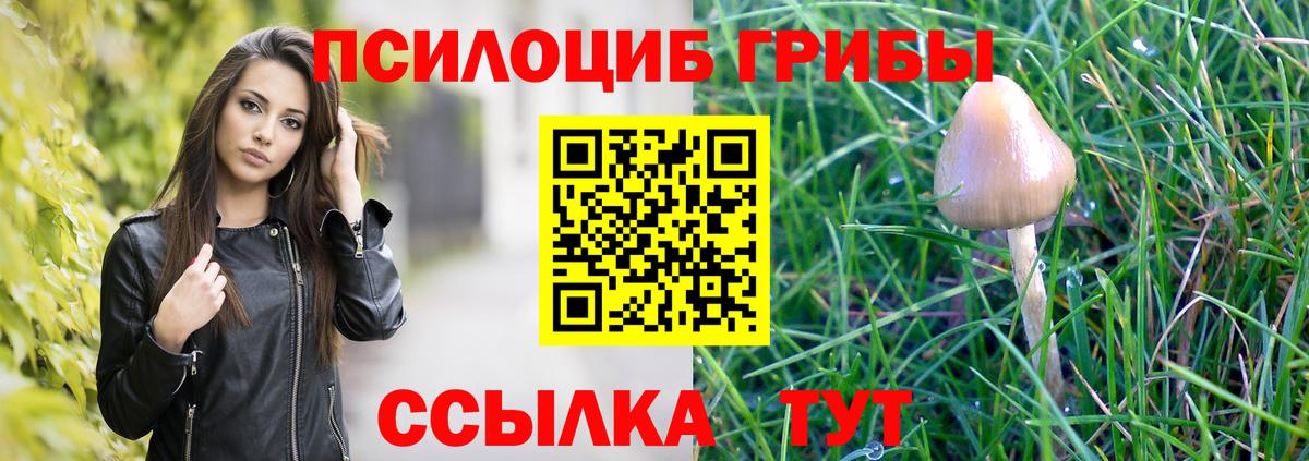 Галлюциногенные грибы Cubensis Димитровград
