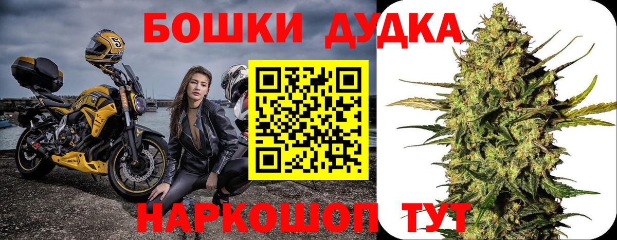 Конопля OG Kush Димитровград